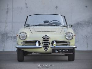Image 8/49 of Alfa Romeo Giulia 1600 Spider (1964)