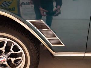 Bild 46/50 von Buick Skylark Convertible (1966)