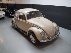Immagine 24/50 di Volkswagen Beetle 1200 (1967)