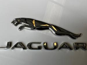 Bild 35/46 von Jaguar F-Type S (2015)