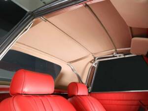Immagine 27/30 di Mercedes-Benz 230 SL (1964)