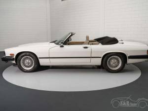 Image 19/19 of Jaguar XJS 5.3 V12 (1991)