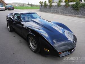 Bild 11/58 von Chevrolet Corvette Sting Ray (1979)