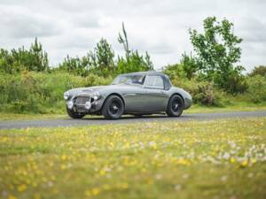 Immagine 31/50 di Austin-Healey 3000 Mk I (BT7) (1959)