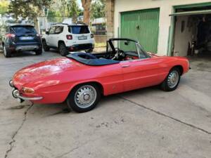 Immagine 3/9 di Alfa Romeo 1600 Spider Duetto (1966)