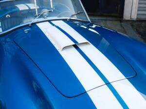 Image 20/68 of Shelby Cobra 289 (1966)