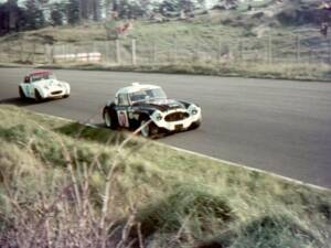 Immagine 17/23 di Austin-Healey 3000 Mk I (BN7) (1959)