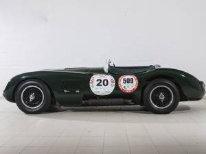 Afbeelding 2/17 van Jaguar XK 120 C (C-Type) (1953)