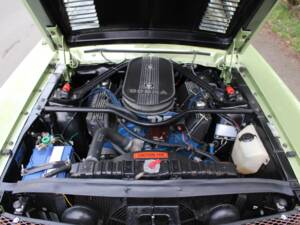 Immagine 15/21 di Ford Shelby GT 500 (1968)