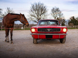 Image 5/50 of Ford Mustang 289 (1965)