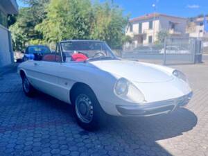 Afbeelding 5/7 van Alfa Romeo 1600 Spider Duetto (1967)