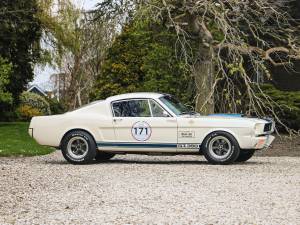 Image 4/31 de Ford Shelby GT 350 (1965)