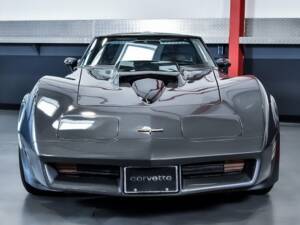 Image 3/7 of Chevrolet Corvette Sting Ray (1981)