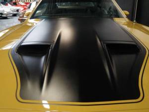 Image 11/50 of Ford Mustang Mach 1 (1973)
