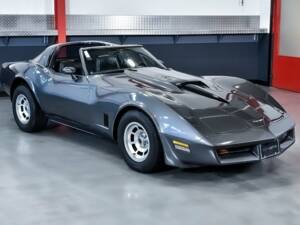 Imagen 7/7 de Chevrolet Corvette Sting Ray (1981)