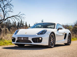 Afbeelding 48/50 van Porsche Cayman S (2013)