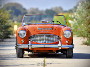 Image 9/40 of Austin-Healey 3000 Mk I (BN7) (1959)