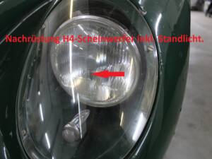 Bild 52/80 von Lister Knobbly (1956)