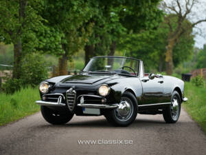 Image 13/20 of Alfa Romeo Giulia 1600 Spider (1964)