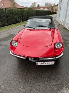 Immagine 3/14 di Alfa Romeo 1600 Spider (1978)