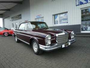 Bild 1/22 von Mercedes-Benz 280 SE 3,5 (1971)