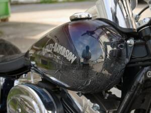 Bild 6/10 von Harley-Davidson DUMMY (2001)