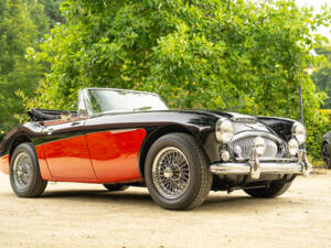 Immagine 16/62 di Austin-Healey 3000 Mk III (BJ8) (1965)