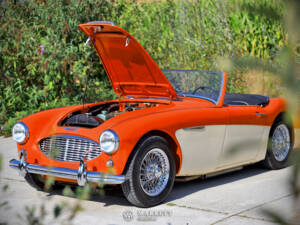 Immagine 14/40 di Austin-Healey 3000 Mk I (BN7) (1959)