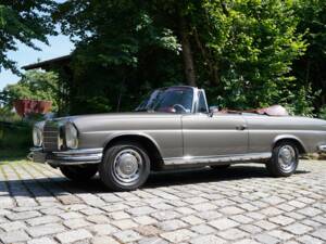 Bild 11/13 von Mercedes-Benz 280 SE (1971)