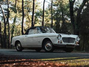 Immagine 8/50 di FIAT 1200 Trasformabile (1960)