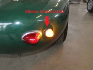 Bild 49/80 von Lister Knobbly (1956)