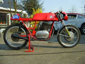 Bild 2/12 von MV Agusta DUMMY (1963)