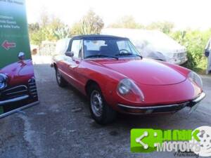 Bild 5/10 von Alfa Romeo 2000 Spider Veloce (1980)