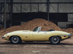 Image 18/29 de Jaguar E-Type (1969)