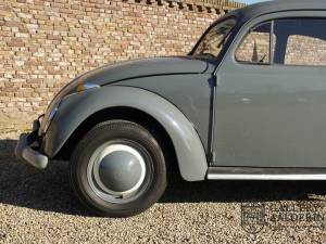 Immagine 37/50 di Volkswagen Beetle 1200 Standard &quot;Oval&quot; (1955)