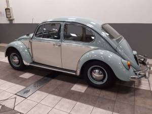 Bild 11/16 von Volkswagen Maggiolino 1200 A (1965)