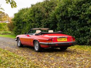 Image 15/50 of Jaguar XJS 5.3 V12 (1988)