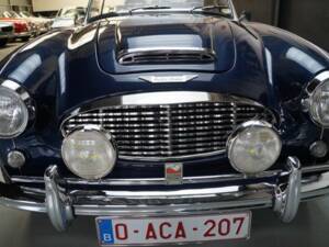 Bild 33/50 von Austin-Healey 3000 Mk II (BN7) (1961)