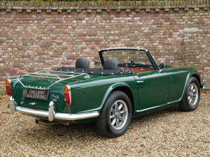 Immagine 44/50 di Triumph TR 4A IRS (1966)