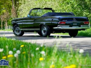 Image 45/52 de Mercedes-Benz 220 SE b (1963)