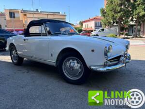 Image 8/10 of Alfa Romeo Giulietta Spider (1960)