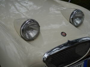 Imagen 9/25 de Austin-Healey Sprite Mk I (1959)