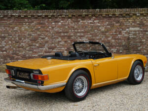 Immagine 43/50 di Triumph TR 6 (1971)