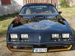 Image 7/69 of Pontiac Firebird TransAm (1979)