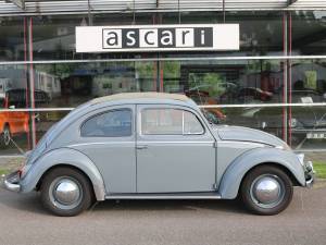 Imagen 7/50 de Volkswagen Beetle 1200 Standard &quot;Oval&quot; (1954)