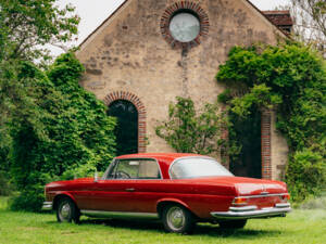 Immagine 35/99 di Mercedes-Benz 250 SE (1967)