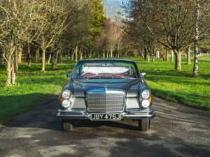 Image 5/50 de Mercedes-Benz 280 SE 3,5 (1971)