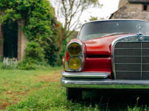 Imagen 16/99 de Mercedes-Benz 250 SE (1967)