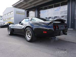Bild 7/58 von Chevrolet Corvette Sting Ray (1979)