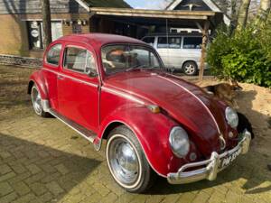 Image 1/5 de Volkswagen Coccinelle 1300 (1968)